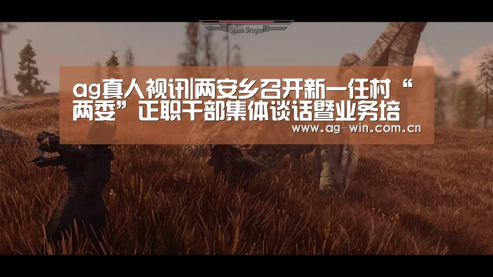 ag真人视讯|两安乡召开新一任村“两委”