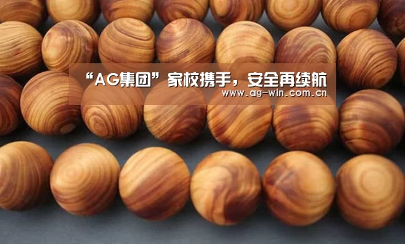 “AG集团”家校携手,安全再续航(图2) AG集团