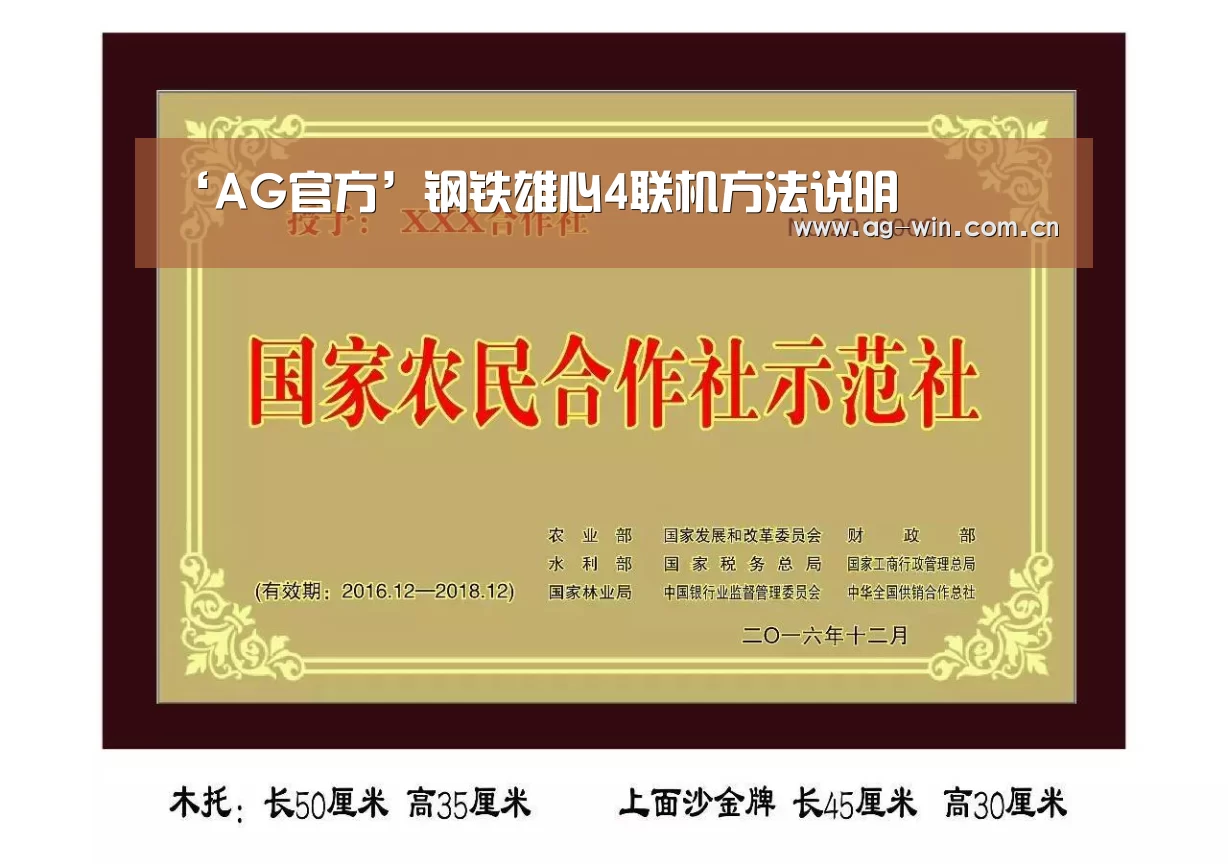 ‘AG官方’钢铁雄心4联机方法说明(图1) AG官方